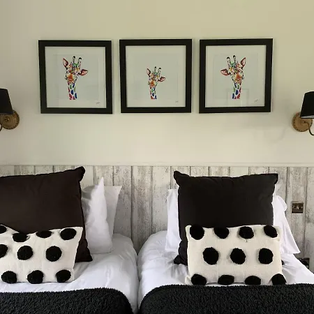 Luna Azul At The Bay Filey, Sleeps Up To 8, And 2 Dogs For Free! *